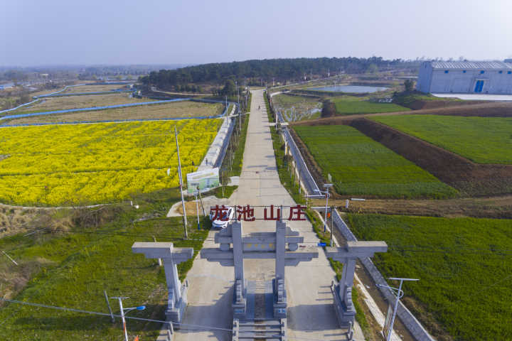 公司簡介